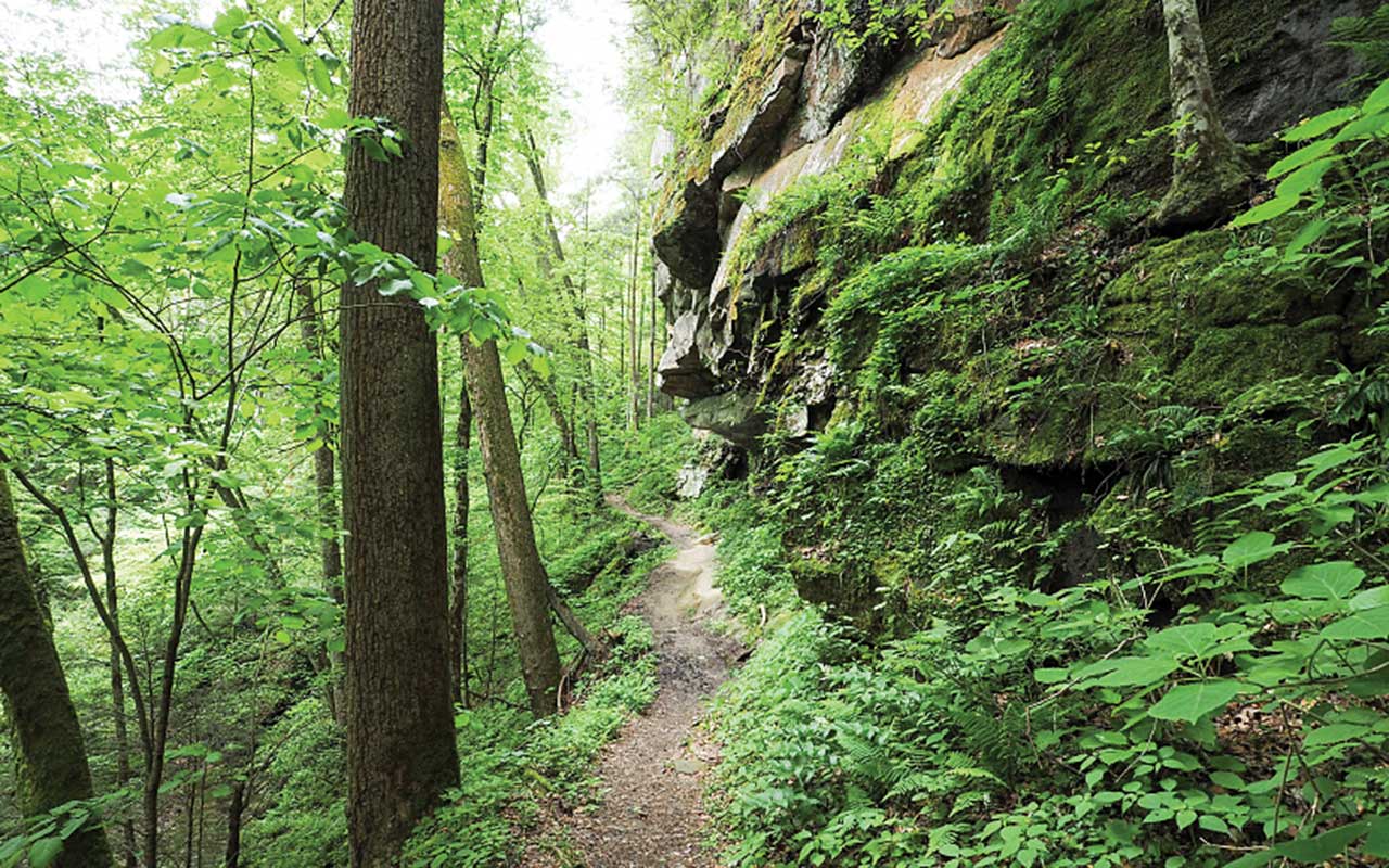 Yahoo Falls in Big South Fork Yahoo Falls in Big South Fork
