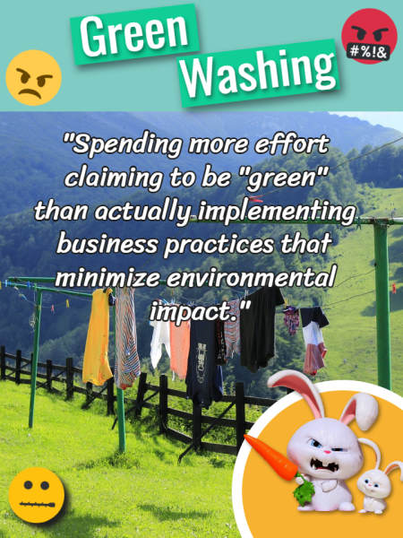 Image text defines "Greenwashing".